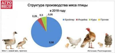 Производство мяса птицы превысит 4,9 млн тонн