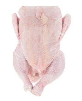 Цыпленок-бройлер